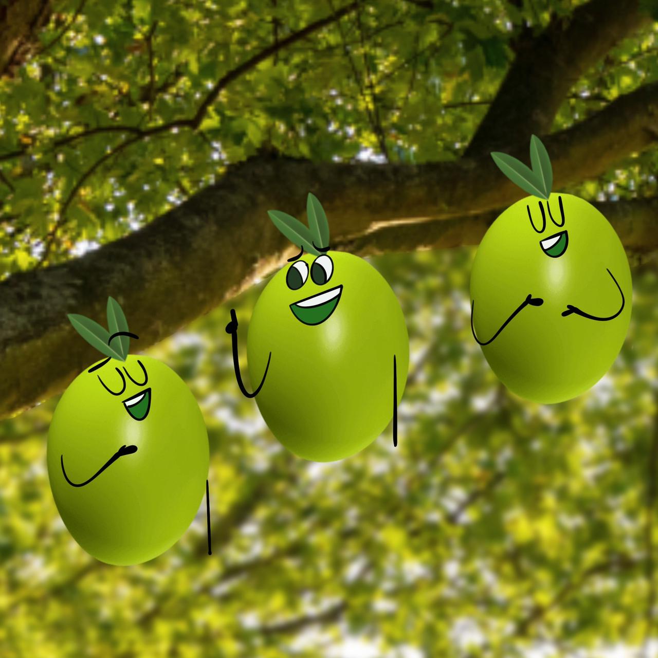 Al Hora Olive Oil - Detail View